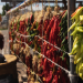 The Tradition and Flavor of Hatch Chile Ristras